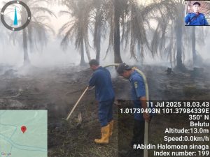 Respons Cepat BPBD Siak Bersama Tim Gabungan Atasi Karhutla di Lahan Sawit PT BMI Kandis